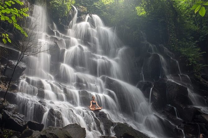 Bali Half Day Trip : All-Inclusive and Private Guided Tour - Getting picked up, then moving through Ubud in about 6 hours
