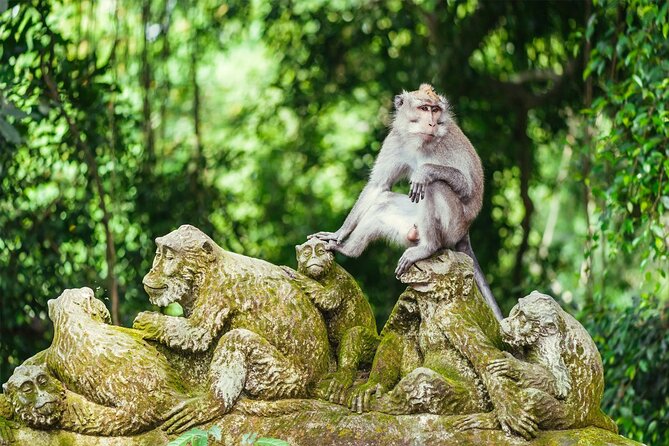 Bali Half Day Trip : All-Inclusive and Private Guided Tour - Stop 4: Tirta Empul Temple and the meaning behind the holy water