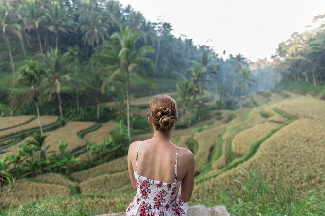 Bali Half Day Trip : All-Inclusive and Private Guided Tour - Price and what you really get for $49 per person