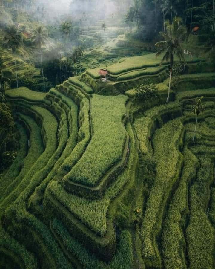 Bali : Highlight of Ubud Culture, Temple and Batur Volcano - Batuan Temple and stone art: classic Balinese architecture in an older setting