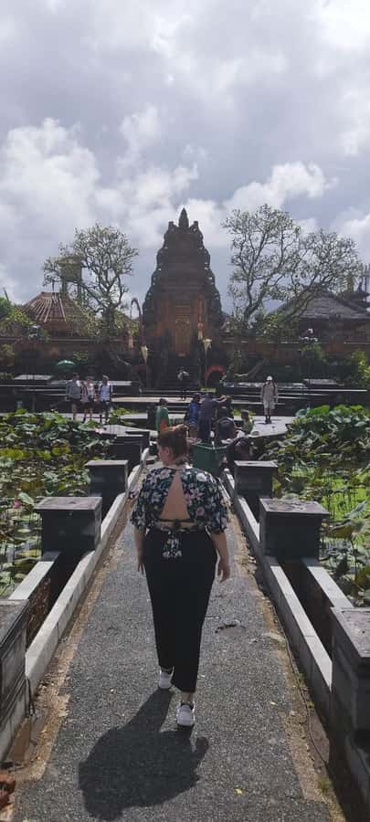 Bali : Highlight of Ubud Culture, Temple and Batur Volcano - Tegalalang Rice Terrace: the breeze break you need
