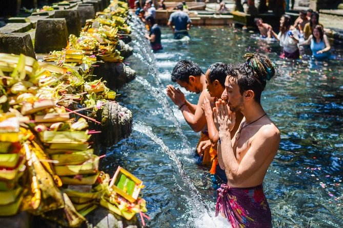 Bali Highlights Private Tour with Elephant Cave and Rice Field - Tegenungan Waterfall: One Scenic Pause, Not a Whole Day