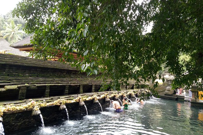 Bali Holy Bathing Ritual and Ubud Highlights tour - Tirta Empul Holy Bathing Ritual: The Main Event