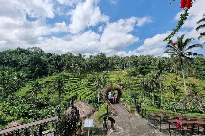 Bali Holy Bathing Ritual and Ubud Highlights tour - Sacred Monkey Forest Sanctuary: 700+ Monkeys and a Few Rules