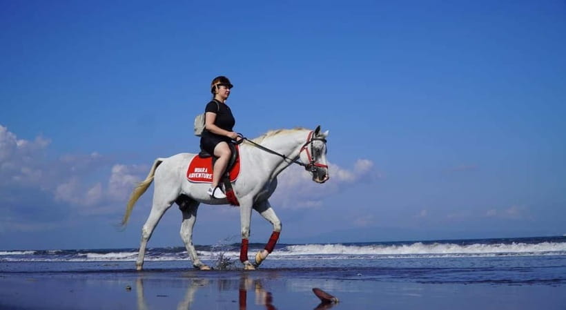 Bali: Horse Riding on the beach experience with free shuttle - Start at Sanur: Pickup, Barcode Check, and Safety Talk