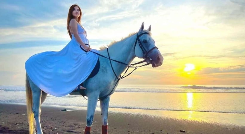 Bali: Horse Riding on the beach experience with free shuttle - Meet the Horses: Well-Kept Stables and How They Match You