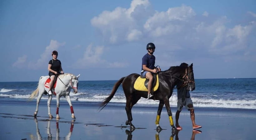 Bali: Horse Riding on the beach experience with free shuttle - What’s Included (and why that matters for value)