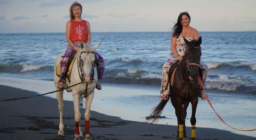 Bali: Horse Riding on the beach experience with free shuttle - Price and Logistics: When $44 Feels Great vs. When It Stings
