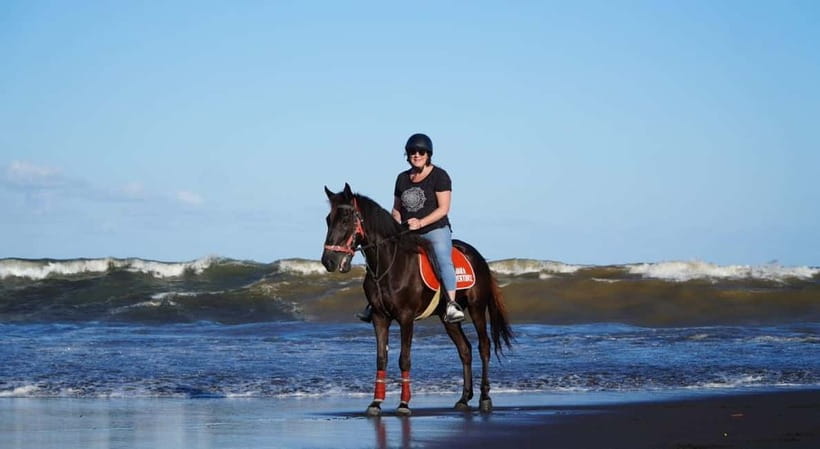 Bali: Horse Riding on the beach experience with free shuttle - Who Should Book This Horse Ride—and Who Should Skip It