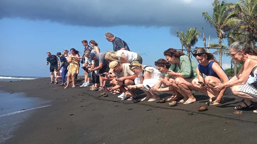 Bali: Horse Riding & Turtle Release Experience at Saba Beach - Key Takeaways Before You Go