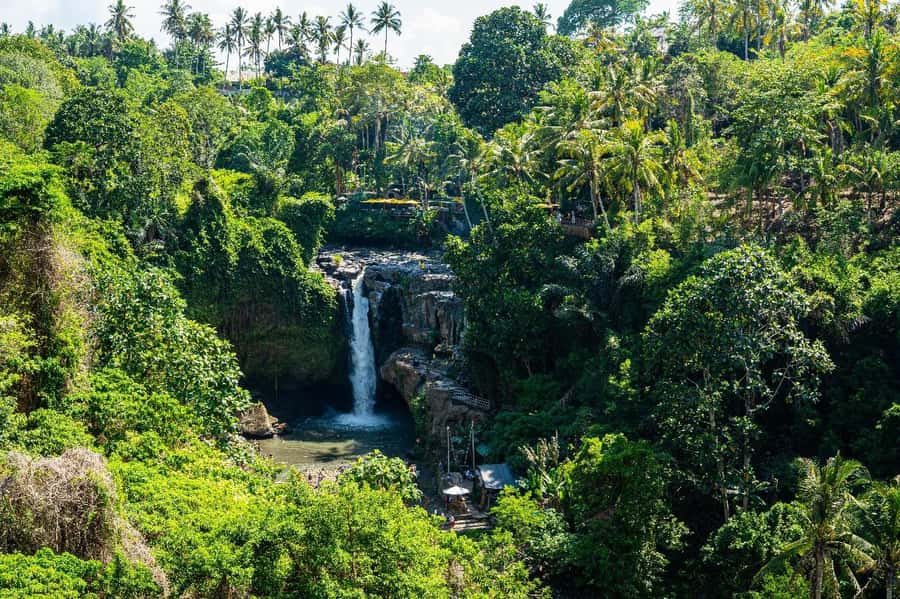Bali: Horse Riding & Turtle Release Experience at Saba Beach - Tegenungan or Kanto Lampo Waterfalls: Swimming, Stairs, and Photos
