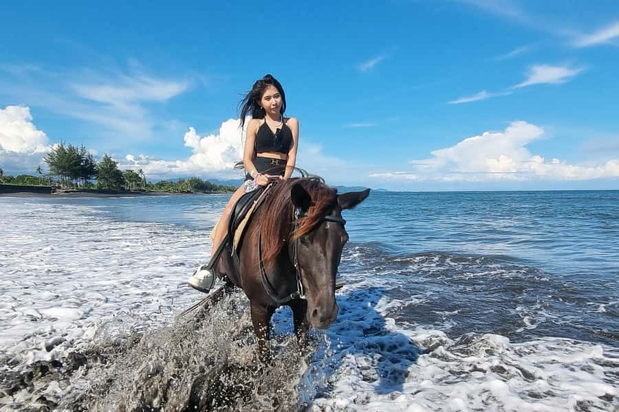 Bali: Horse Riding & Turtle Release Experience at Saba Beach - Coffee Plantation Visit and the Bali Swing Optional Moment