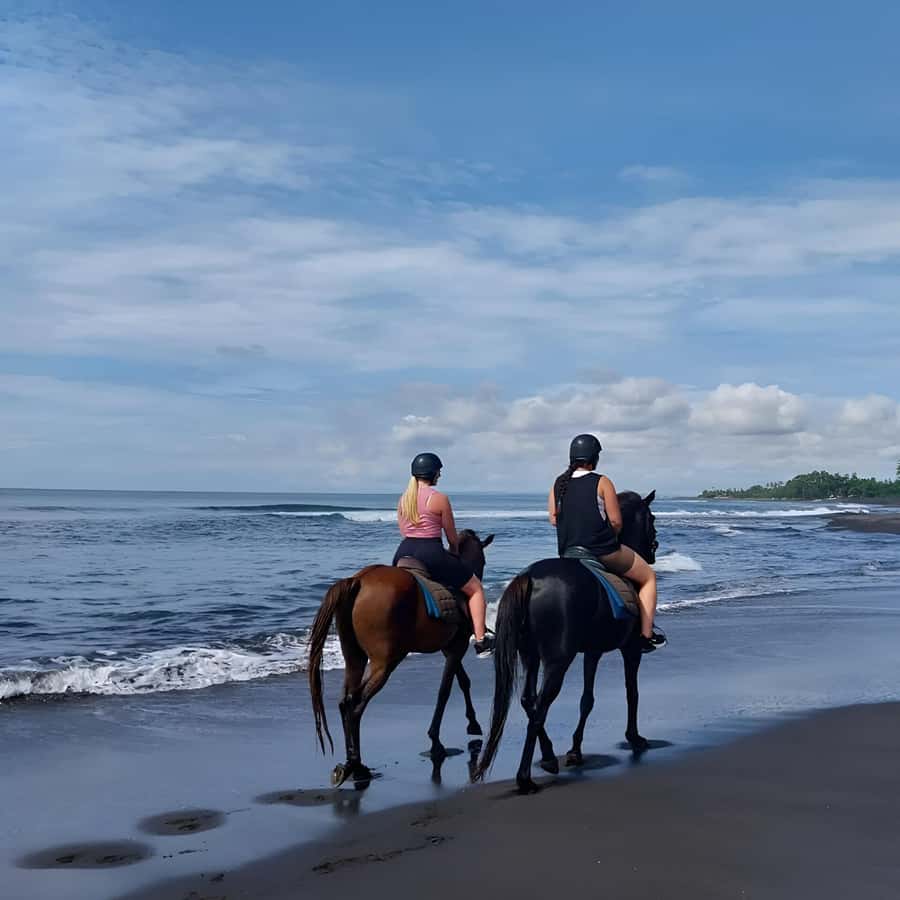 Bali: Horse Riding & Turtle Release Experience at Saba Beach - My Booking Advice: Should You Book This Saba Beach Turtle and Horse Day?