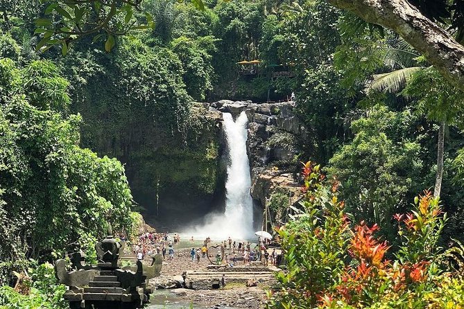 Bali Iconic Tour with Buffet Lunch and Attraction Tickets - Tegalalang Rice Terrace: Farmer Life and Cliffside Green Views