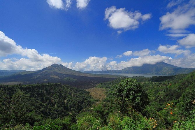 Bali Iconic Tour with Buffet Lunch and Attraction Tickets - Private Transport and Pickup: Why It Makes the Day Feel Easier
