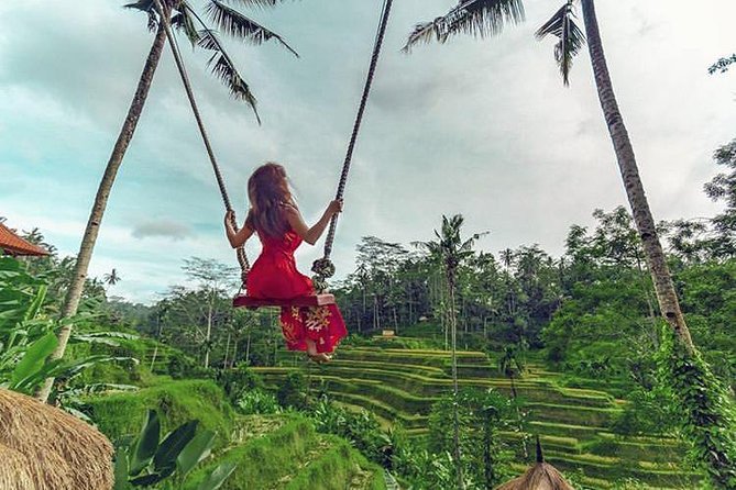 Bali Individual Route With Private English Speaking Driver - How this private Bali day actually plays out