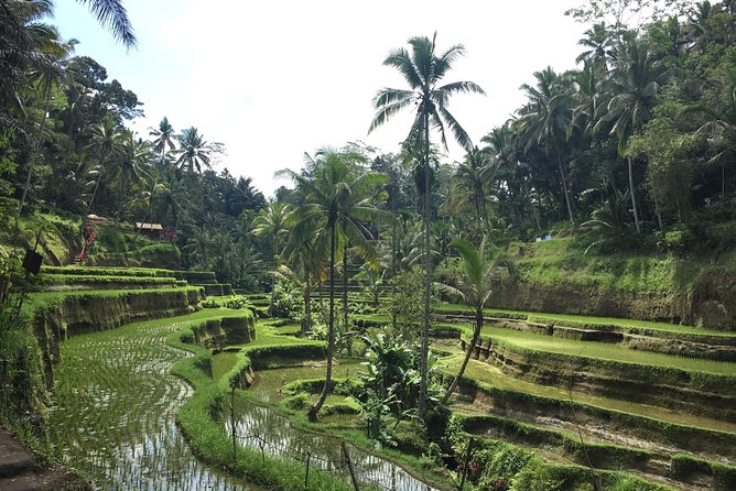 Bali Individual Route With Private English Speaking Driver - Pickup at 8:30am: the day starts with logistics out of your hands