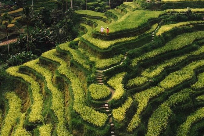 Bali Instagram Tour - All Inclusive - Tirta Gangga Water Palace: koi feeding and stepping-stone shots