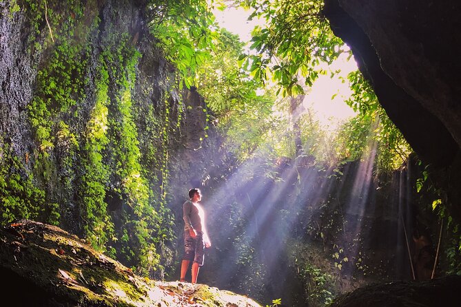 Bali Instagram Tour: Gate of Heaven, Swing and Waterfall Day Tour - The jungle coffee tasting break you’ll actually remember