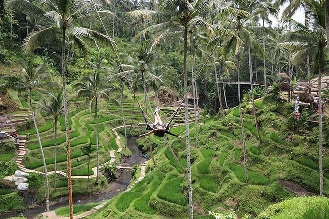Bali Jungle Swing & Ubud Tour - Satria Agrowisata Coffee Plantation and Luwak Coffee Chances