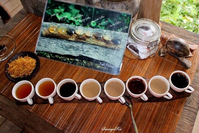 Bali Jungle Swing & Ubud Tour - Tegalalang (Ceking) Rice Terrace Views You Can Plan Around