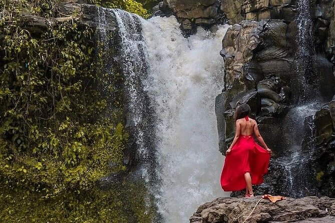 Bali Jungle Swing & Ubud Tour - Should You Book Bali Jungle Swing & Ubud Tour?