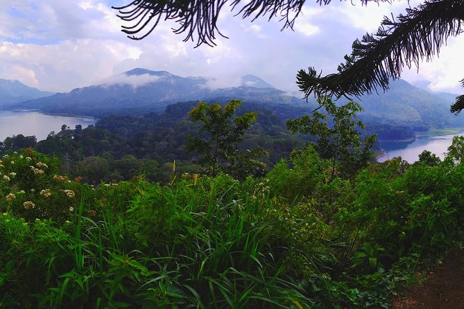 Bali Jungle Trekking and Lake Canoeing Tour - Getting out of Ubud: pickup and an air-conditioned ride