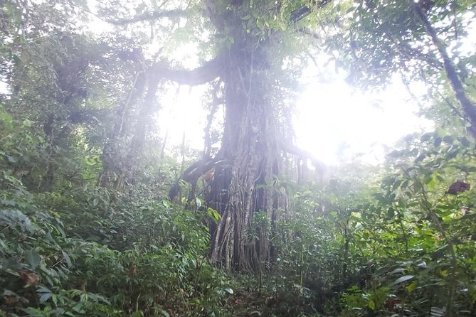 Bali Jungle Trekking and Lake Canoeing Tour - Handara Gate and Lake Beratan: great photo stops with pickup limitations