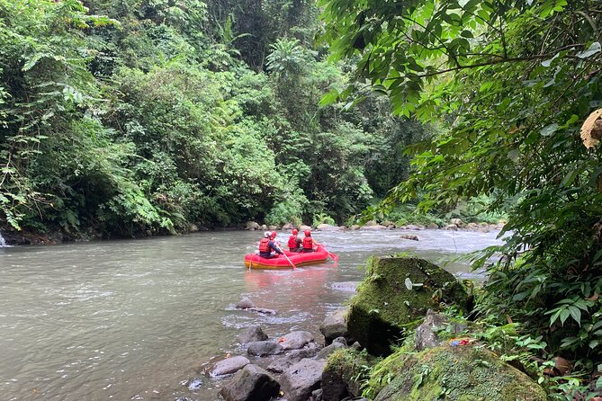 Bali Jungle White Water Rafting Adventure - The Rafts Through Class II–III Rapids