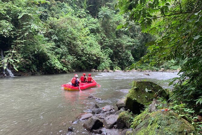 Bali Jungle White Water Rafting Adventure - Jungle Waterfalls, Shrines, and Wildlife You Can Spot