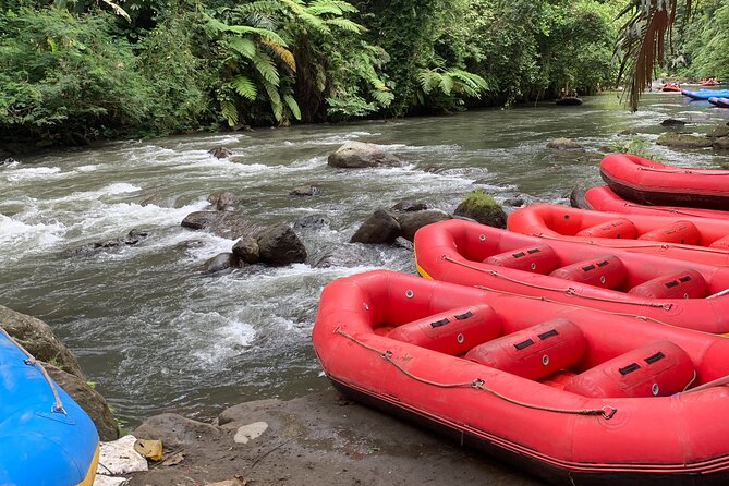 Bali Jungle White Water Rafting Adventure - Getting Picked Up and Back: Transport and Group Size