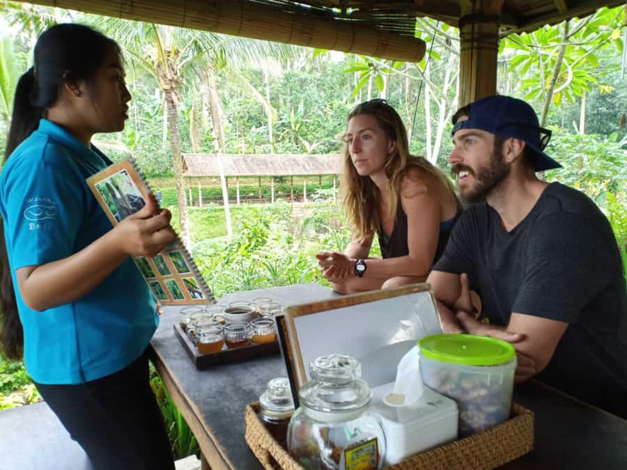 Bali: Kintamani Cafe, Waterfall, Temple and Cretya Ubud Tour - Value and logistics: what $35 really covers