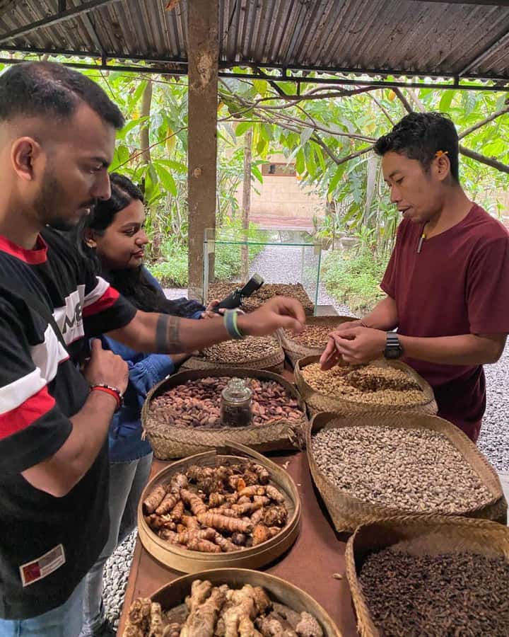 Bali: Kintamani Cafe, Waterfall, Temple and Cretya Ubud Tour - Guides and the private-driver advantage (names you may see)