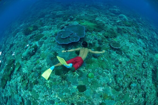 Bali Lembongan Island Beach Club Day Trip - Unlimited Banana Boat Rides: Fun, Not Subtle