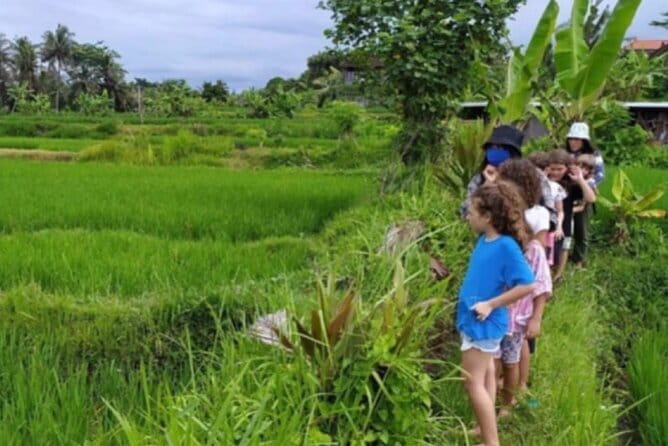 Bali: Lempuyang Temple, Waterfall & Rice Terrace Private Tour - Traditional coffee plantation stop: a last cultural touch in the same day