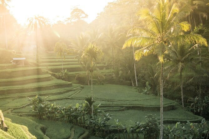 Bali: Lempuyang Temple, Waterfall & Rice Terrace Private Tour - Lempuyang Temple Gate of Heaven: the Mt. Agung photo you came for