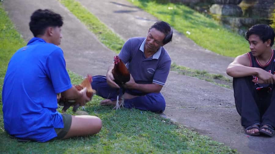 Bali: Magical Fireflies Tour in Taro Village with Dinner - Dinner under the stars: why this is more than just fuel