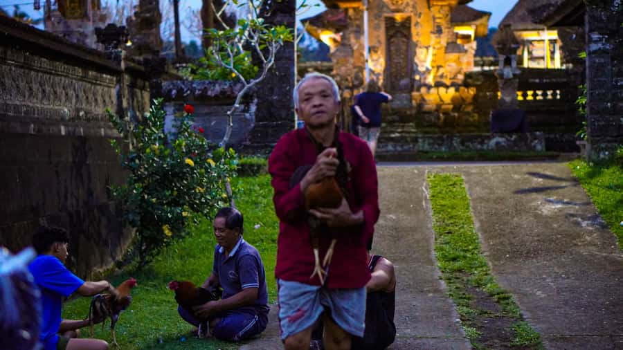 Bali: Magical Fireflies Tour in Taro Village with Dinner - Guide style matters: Made and Komang set the tone