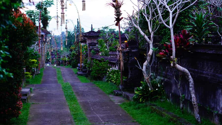 Bali: Magical Fireflies Tour in Taro Village with Dinner - Price and value: is $17 really fair?