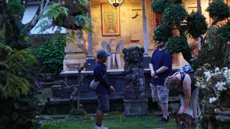 Bali: Magical Fireflies Tour in Taro Village with Dinner - Who this tour suits best (and who should skip it)