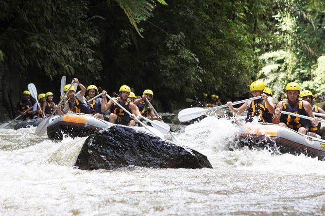 Bali Mason Adventure White Water Rafting - Morning vs afternoon vs family package: picking the right session