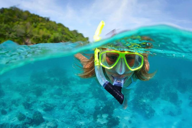 Bali Menjangan Island Snorkeling Day Tour - 5:30 am pickup, long drive, and how to make the day painless