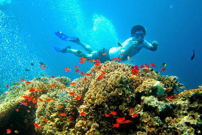 Bali Menjangan Island Snorkeling Day Tour - The morning route: Central Ubud pickup and the Kuta Beach stop