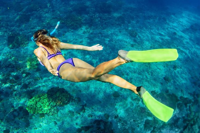 Bali Menjangan Island Snorkeling Day Tour - Group size under 15: why it matters when you’re wet and tired