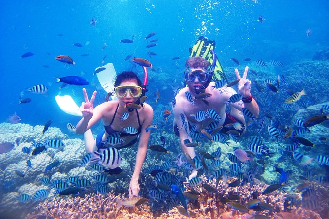 Bali Menjangan Island Snorkeling Day Tour - Lunch and downtime: keep your energy up for the full 12 hours