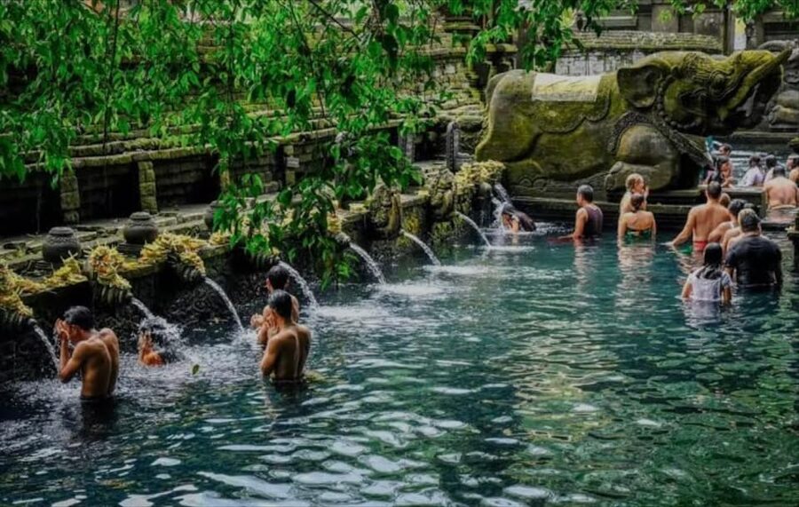 Bali: monkey forest, rice terrace, water temple, waterfall - Bali coffee and tea at the plantation: the perfect mid-day reset