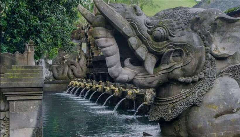 Bali: monkey forest, rice terrace, water temple, waterfall - Price and value: does $25 per person make sense for this full-day plan?
