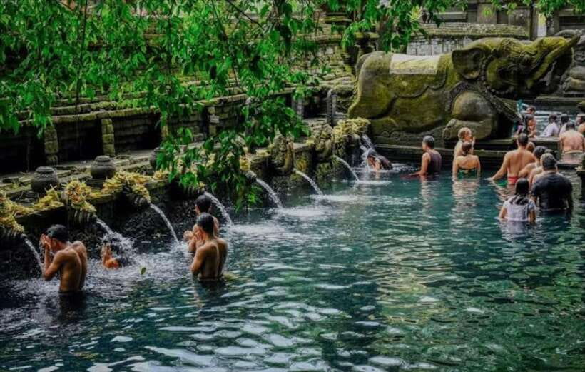 Bali: monkey forest, rice terrace, water temple, waterfall - Who this tour fits best (and who should think twice)