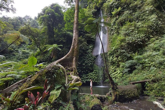 Bali Most Scenic Waterfalls Trekking - The “off the beaten path” factor that actually matters