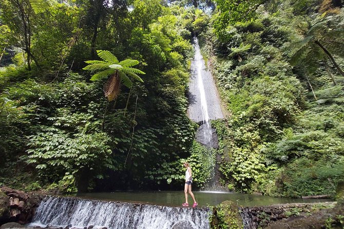 Bali Most Scenic Waterfalls Trekking - Weather, timing, and real-world expectations